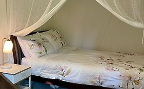Lilli Pilli Guesthouse